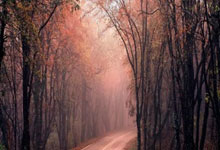 小组赛厮杀激烈，关键一战引人注目