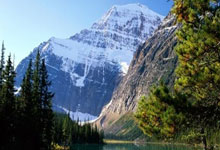 热血足球赛事引发球迷关注，情绪高涨