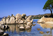 巴西足球队惨败惨遭压制