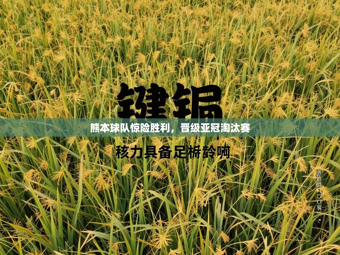 熊本球队惊险胜利，晋级亚冠淘汰赛  第2张