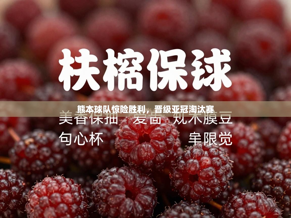 熊本球队惊险胜利，晋级亚冠淘汰赛  第1张